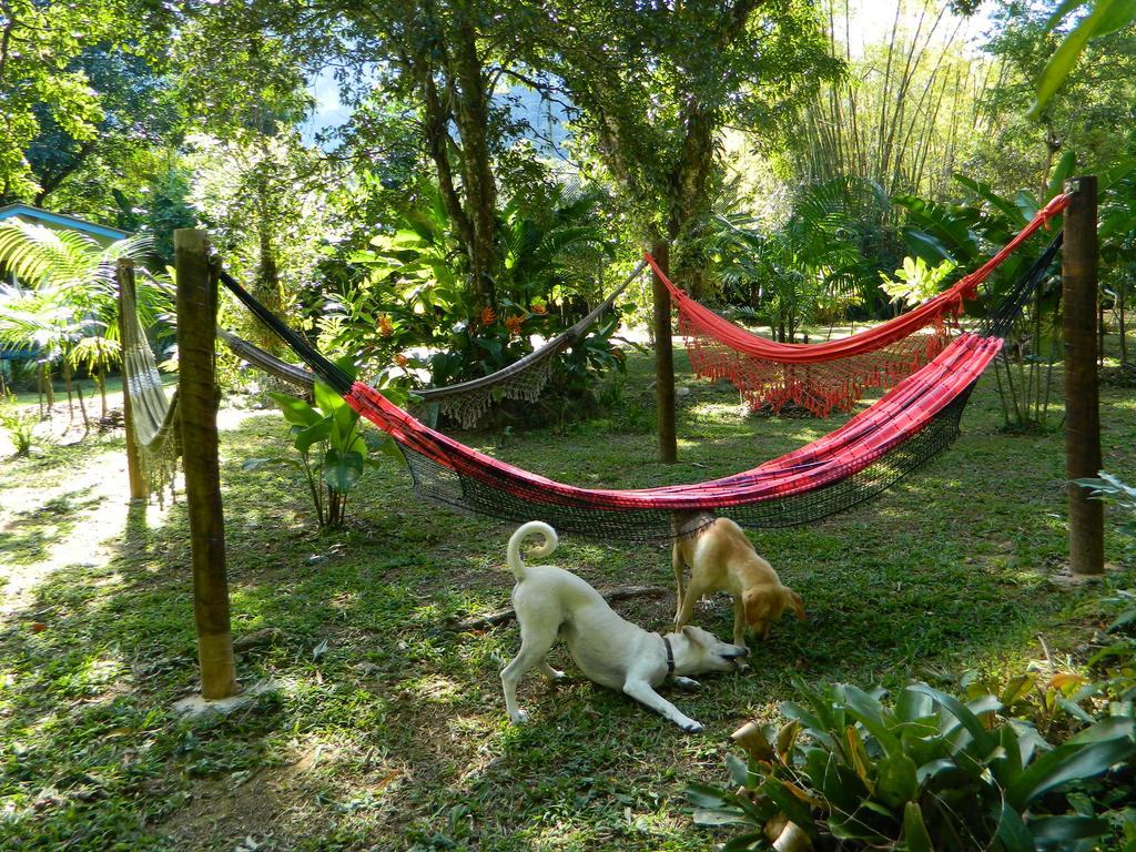 Bicho Do Mato Suites Guapimirim Kültér fotó