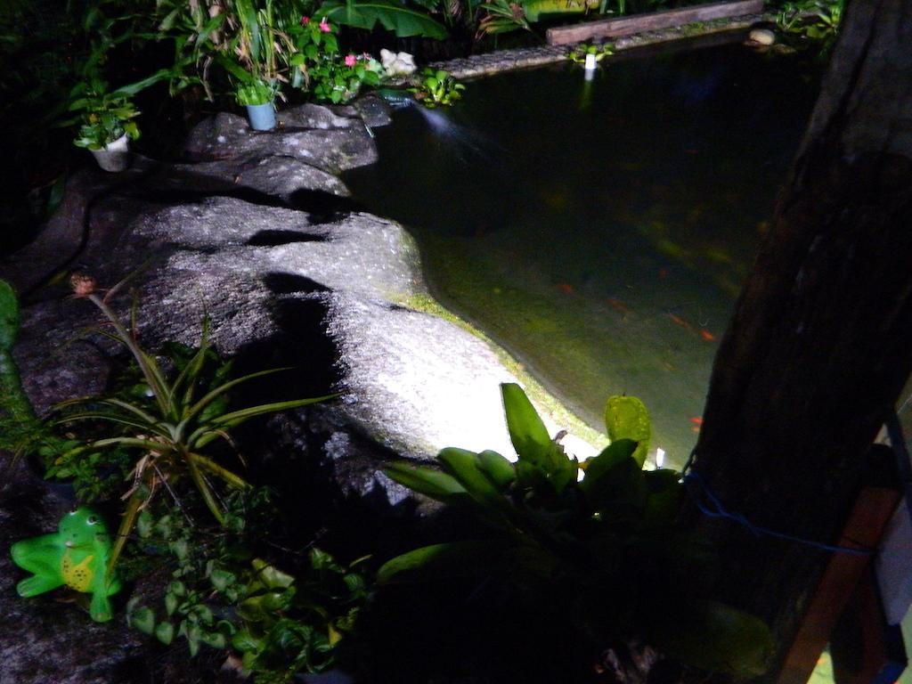 Bicho Do Mato Suites Guapimirim Kültér fotó