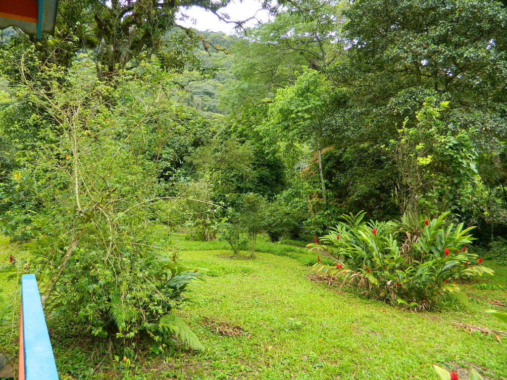 Bicho Do Mato Suites Guapimirim Kültér fotó