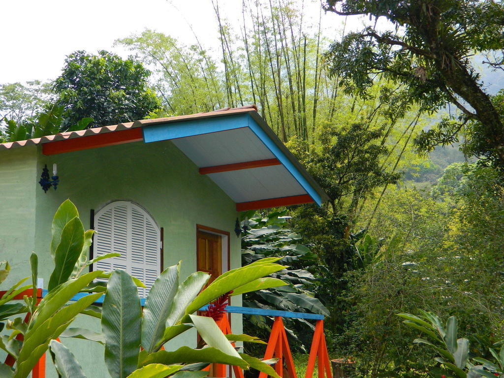 Bicho Do Mato Suites Guapimirim Kültér fotó