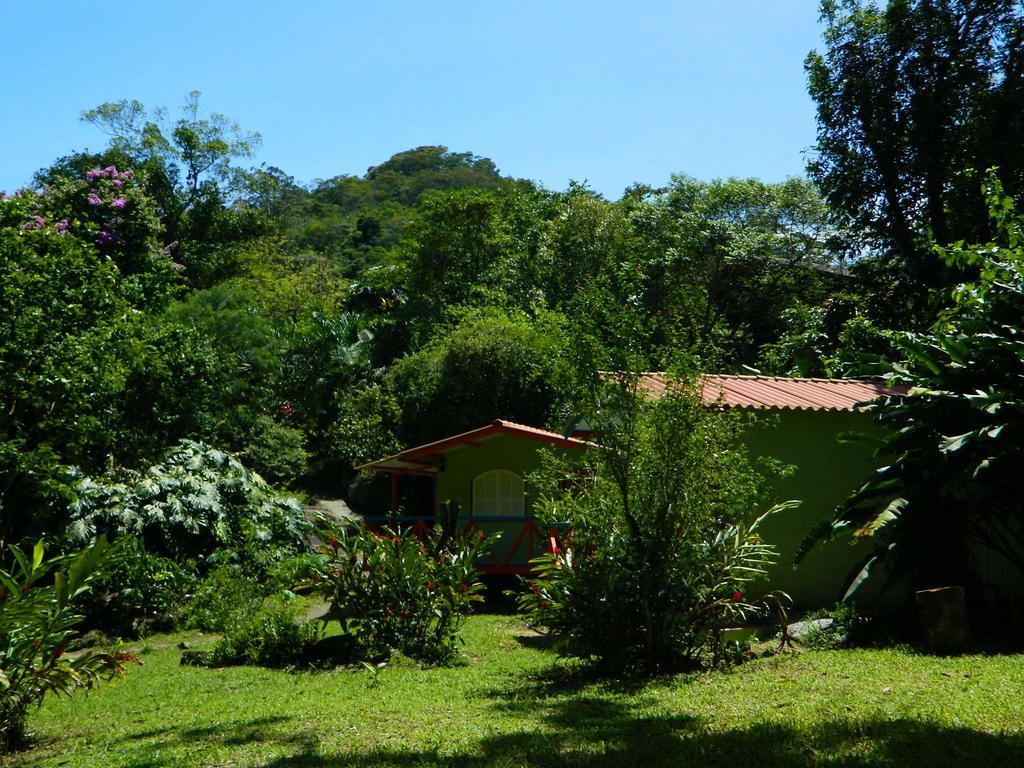 Bicho Do Mato Suites Guapimirim Kültér fotó